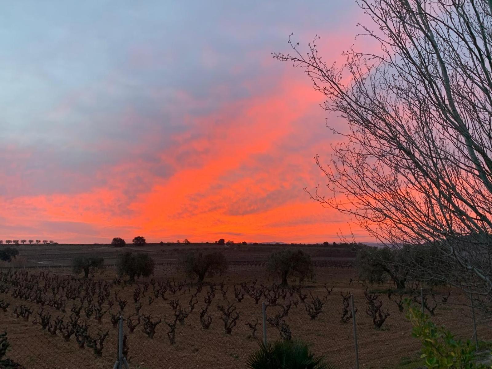הוילה Vilobi Del Penedes La Geneta Casa Vacacional מראה חיצוני תמונה