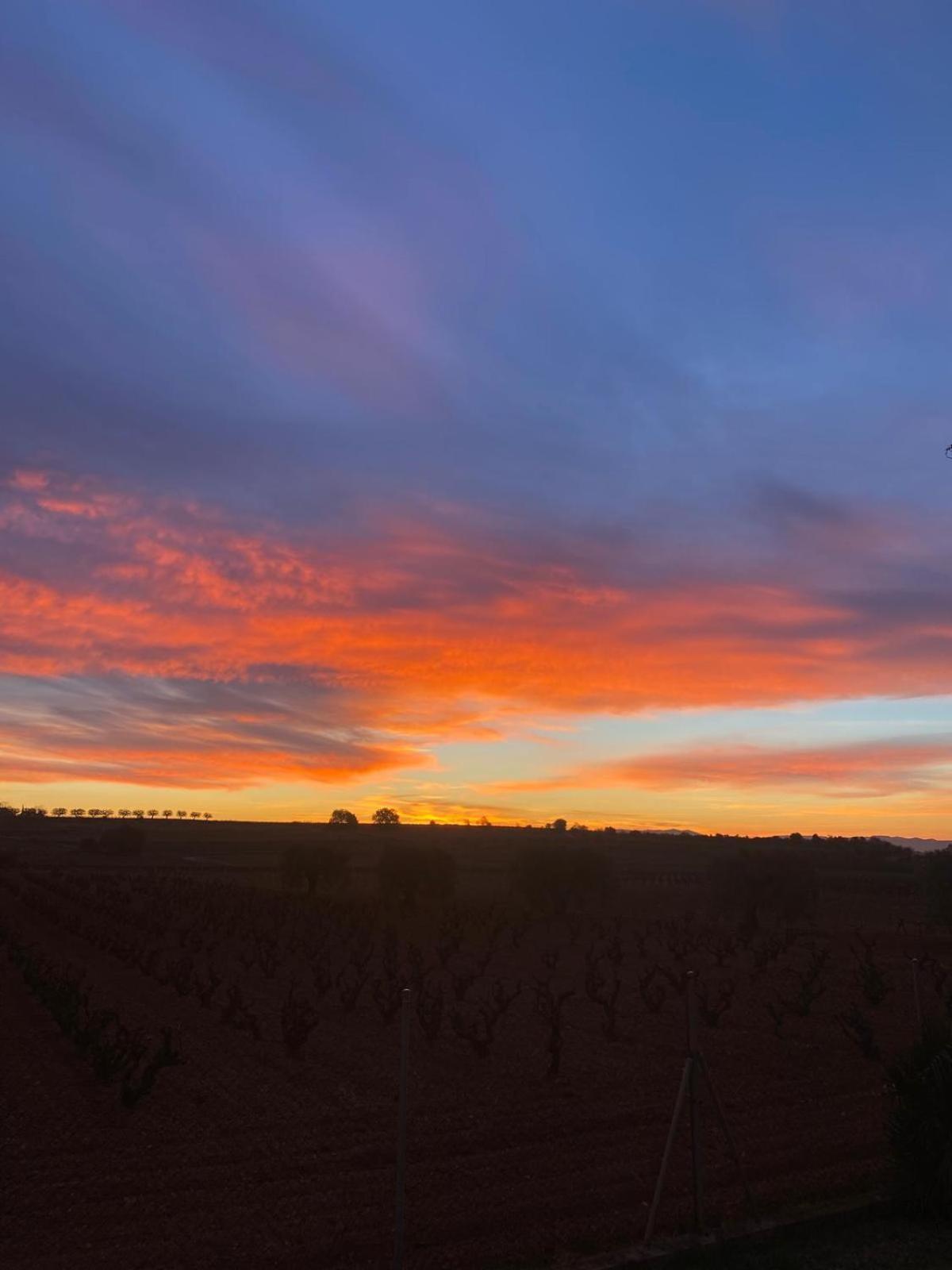 הוילה Vilobi Del Penedes La Geneta Casa Vacacional מראה חיצוני תמונה